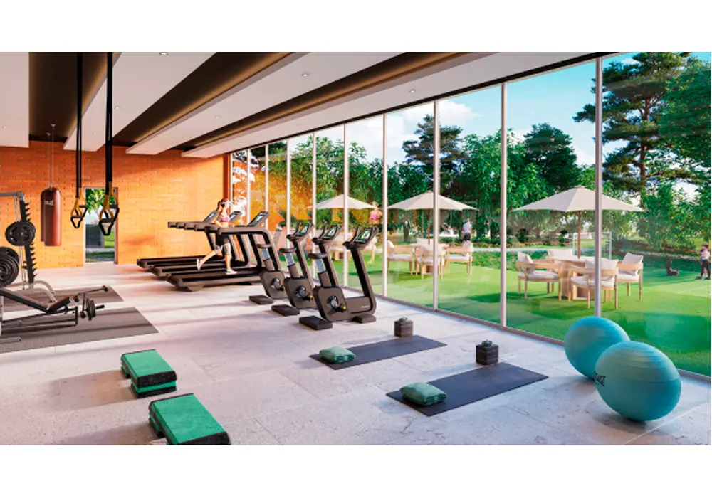 Gimnasio