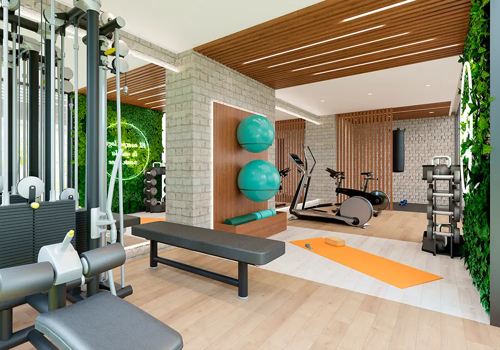 IbisSolariaGym.webp