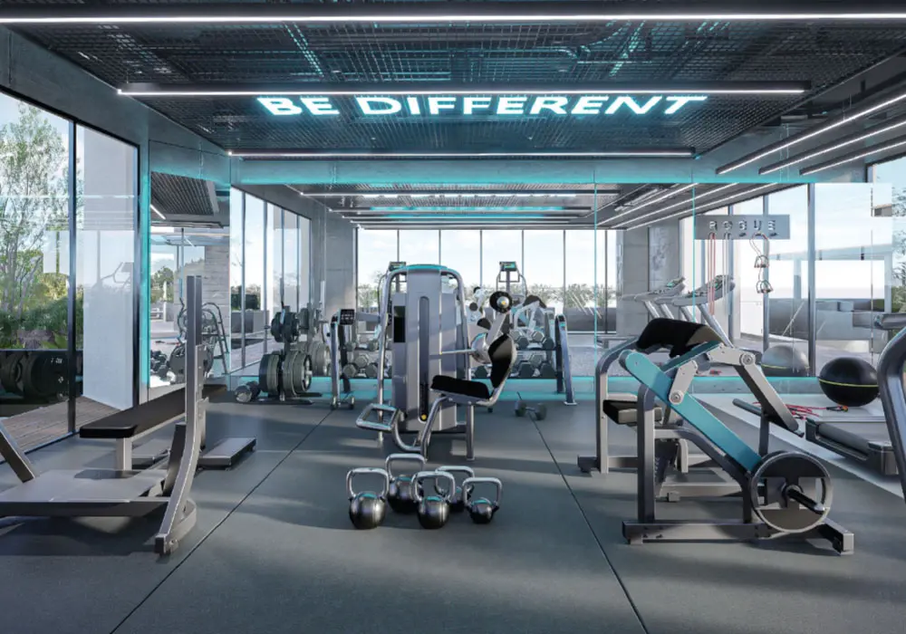 NouvoGimnasio-6.webp