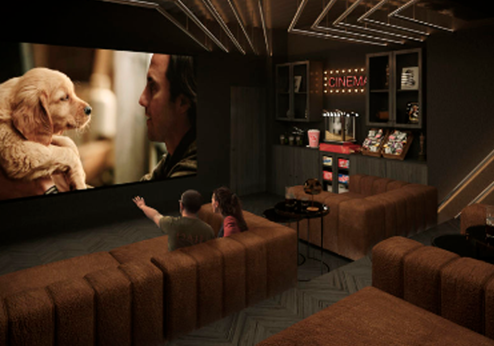 Cinema-1-2.png