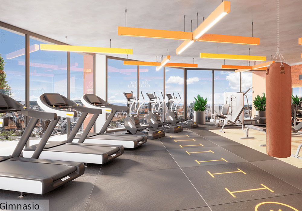 Gimnasio-16.png