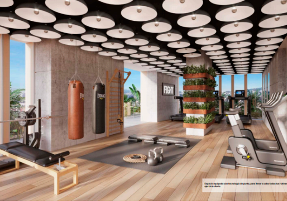 Gimnasio-9.png