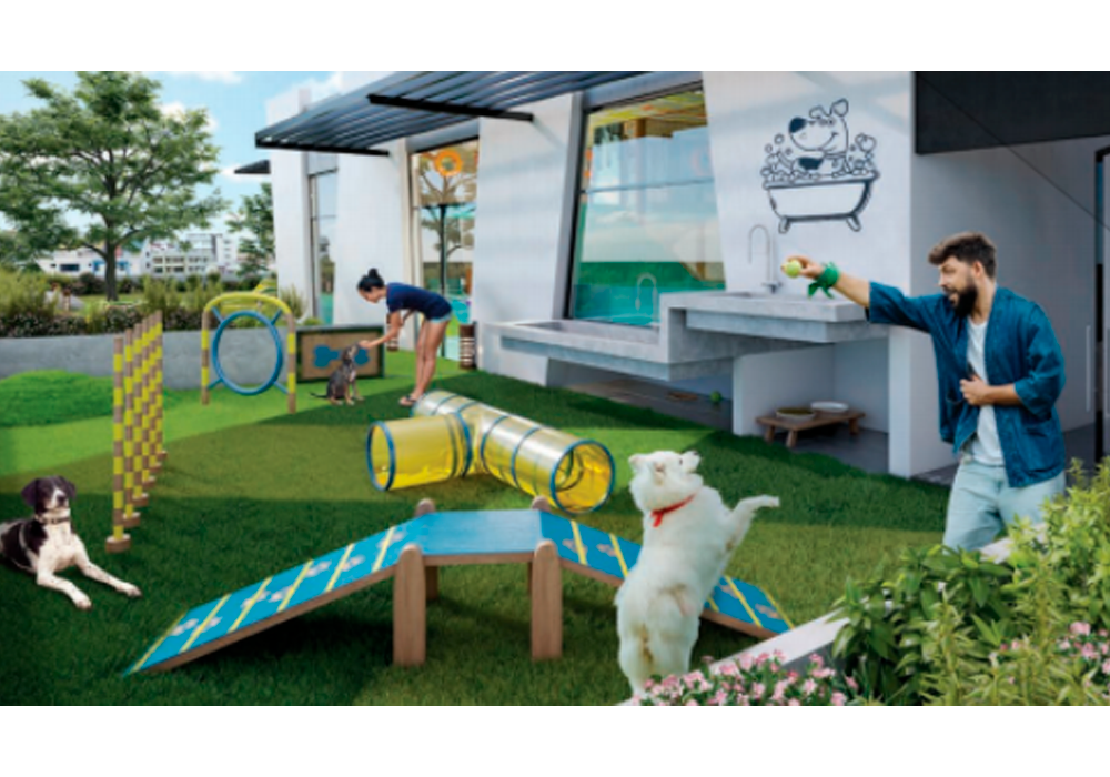 Pets-Park-1-2.png