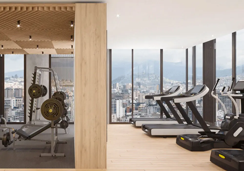 SeisGimnasio-3.webp
