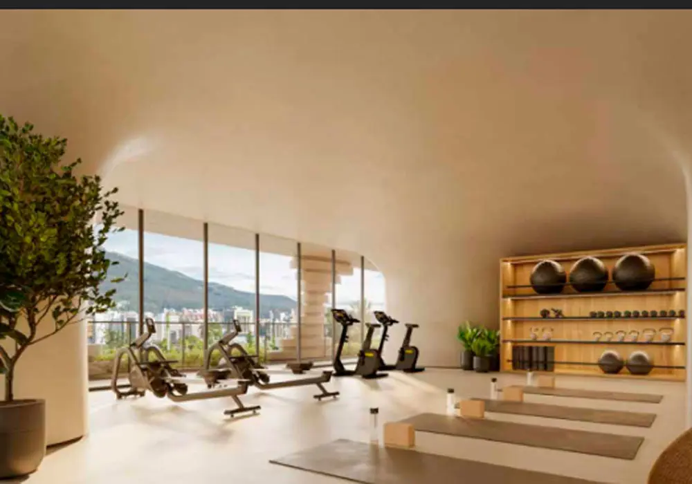 QapitalGimnasio-1.webp