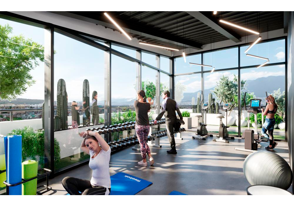 Gym-6.png