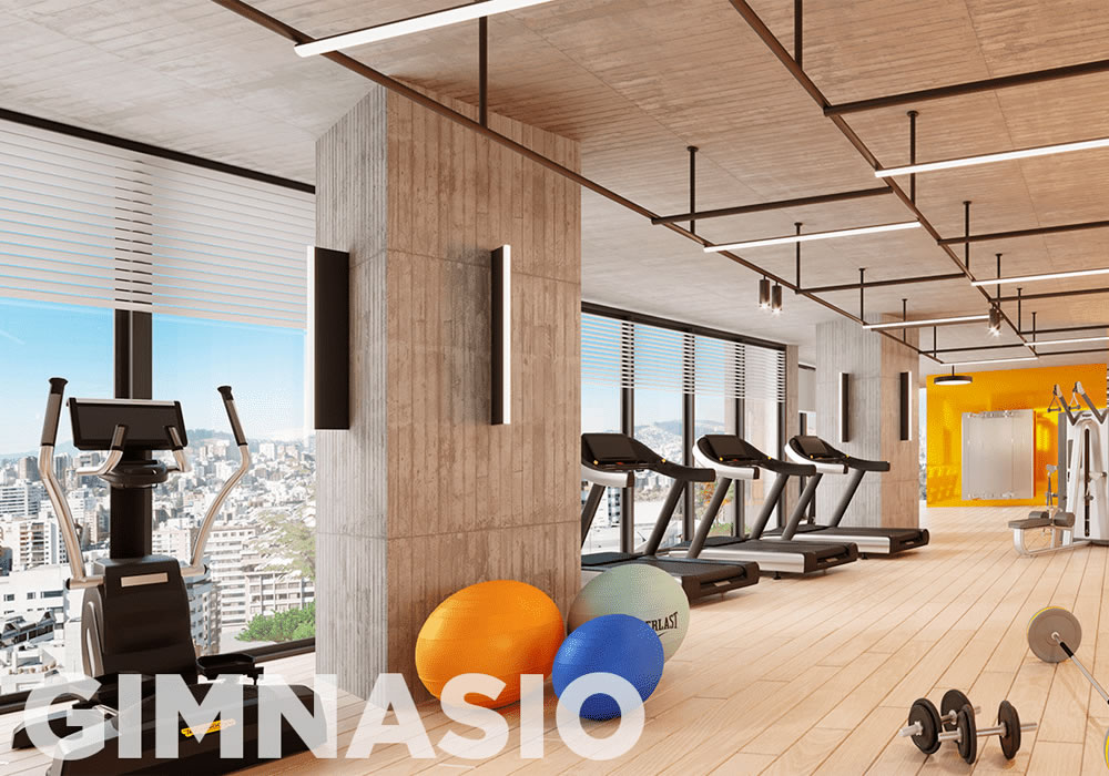 Gimnasio-3.png