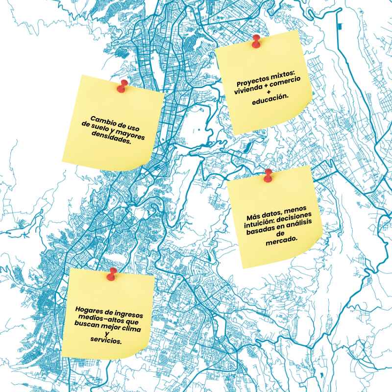 Perfil del comprador