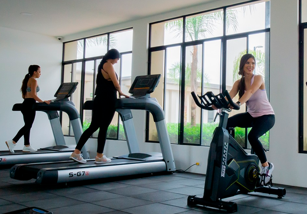 Gym-1.png