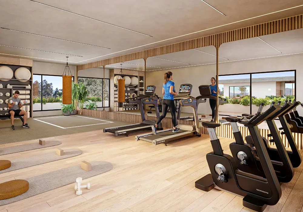 KansoGimnasio-1.webp
